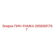 2656991797 ПИН-РАМКА Epiroc