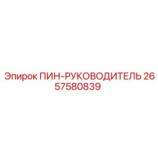 2657580839 ПИН-РУКОВОДИТЕЛЬ (Epiroc)