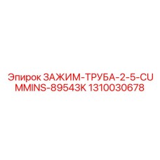 1310030678 ЗАЖИМ-ТРУБА-2-5-CUMMINS-89543K Epiroc