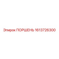 1613726300 ПОРШЕНЬ Epiroc