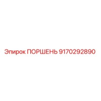 9170292890 ПОРШЕНЬ Epiroc