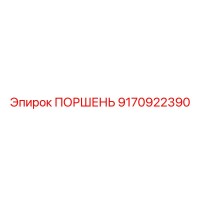 9170922390 ПОРШЕНЬ Epiroc