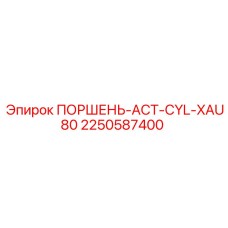 2250587400 ПОРШЕНЬ-ACT-CYL-XAU80 Epiroc