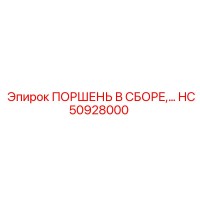 HC50928000 ПОРШЕНЬ В СБОРЕ Epiroc
