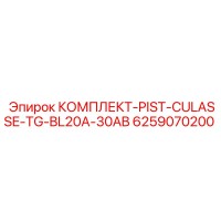 6259070200 КОМПЛЕКТ-PIST-CULASSE-TG-BL20A-30AB Epiroc