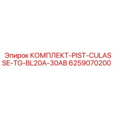 6259070200 КОМПЛЕКТ-PIST-CULASSE-TG-BL20A-30AB Epiroc