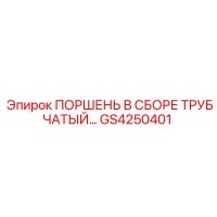 ПОРШЕНЬ В СБОРЕ ТРУБЧАТЫЙ… GS4250401 Epiroc