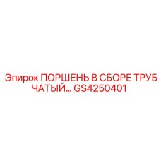 ПОРШЕНЬ В СБОРЕ ТРУБЧАТЫЙ… GS4250401 Epiroc