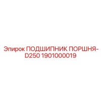 1901000019 ПОДШИПНИК ПОРШНЯ-D250 - Epiroc
