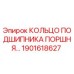 1901618627 КОЛЬЦО ПОДШИПНИКА ПОРШНЯ Epiroc