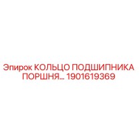 1901619369 КОЛЬЦО ПОДШИПНИКА ПОРШНЯ Epiroc