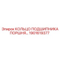 1901619377 КОЛЬЦО ПОДШИПНИКА ПОРШНЯ Epiroc