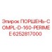 6252817000 ПОРШЕНЬ-COMPL-D-160-PERIMEE Epiroc
