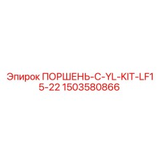 1503580866 ПОРШЕНЬ-C-YL-KIT-LF15-22 - Epiroc