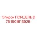1901613925 ПОРШЕНЬ D75 Epiroc