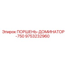 9753232960 ПОРШЕНЬ-ДОМИНАТОР-750 Epiroc