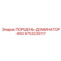 9753235117 ПОРШЕНЬ-ДОМИНАТОР-850 Epiroc