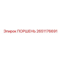 2651176691 ПОРШЕНЬ Эпирок