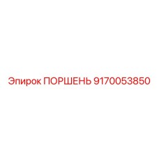 9170053850 ПОРШЕНЬ Epiroc