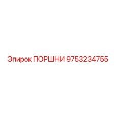 9753234755 - ПОРШНИ (Epiroc)