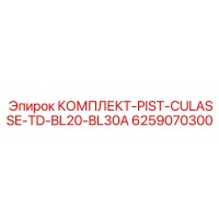 6259070300 КОМПЛЕКТ-PIST-CULASSE-TD-BL20-BL30A Epiroc