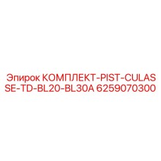 6259070300 КОМПЛЕКТ-PIST-CULASSE-TD-BL20-BL30A Epiroc