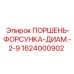 1624000902 ПОРШЕНЬ-ФОРСУНКА-ДИАМ.-2-9 Epiroc