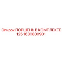 1630800901 ПОРШЕНЬ В КОМПЛЕКТЕ 125 Epiroc