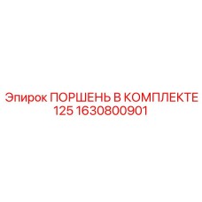 1630800901 ПОРШЕНЬ В КОМПЛЕКТЕ 125 Epiroc