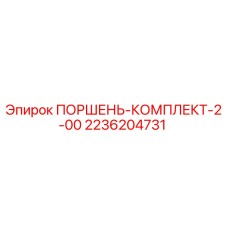 2236204731 ПОРШЕНЬ-КОМПЛЕКТ-2-00 Epiroc
