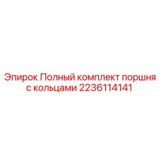 2236114141 Полный комплект поршня с кольцами Epiroc