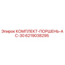 6219038295 КОМПЛЕКТ ПОРШНЯ AC-30 Epiroc