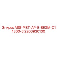 2200930100 ASS-PIST-AP-E-SEGM-C11360-8 Epiroc