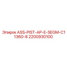 Оригинальный поршневой узел 2200930100 производства Epiroc