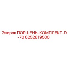 6252819500 ПОРШЕНЬ-КОМПЛЕКТ-D-70 Epiroc