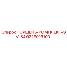 6229016100 ПОРШЕНЬ-КОМПЛЕКТ-GV-34 Epiroc