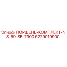 6229019900 ПОРШЕНЬ-КОМПЛЕКТ-NS-59-SB-7900 Epiroc
