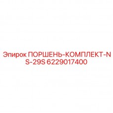 6229017400 ПОРШЕНЬ-КОМПЛЕКТ-NS-29S Epiroc