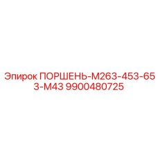 9900480725 ПОРШЕНЬ-M263-453-653-M43 Epiroc