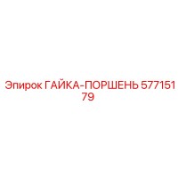57715179 ГАЙКА-ПОРШЕНЬ Epiroc