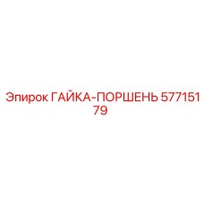 57715179 ГАЙКА-ПОРШЕНЬ Epiroc