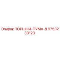 9753233123 - ПОРШНИ ПУМА-8 (Epiroc)