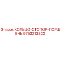 9753213320 Кольцо-стопор поршень Epiroc
