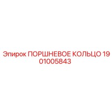 1901005843 ПОРШНЕВОЕ КОЛЬЦО Epiroc