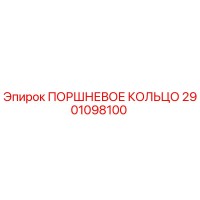 2901098100 ПОРШНЕВОЕ КОЛЬЦО | Epiroc