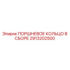 2913202500 ПОРШНЕВОЕ КОЛЬЦО В СБОРЕ Epiroc