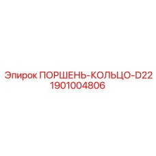 1901004806 ПОРШЕНЬ-КОЛЬЦО-D22 (Epiroc)