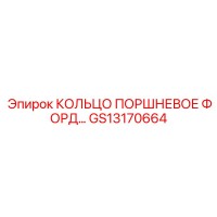 GS13170664 КОЛЬЦО ПОРШНЕВОЕ ФОРД Epiroc