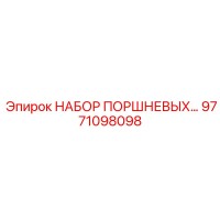 9771098098 Набор поршневых колец Epiroc
