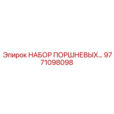 9771098098 Набор поршневых колец Epiroc